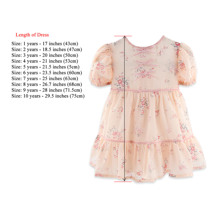 Sophia Chiffon Dress