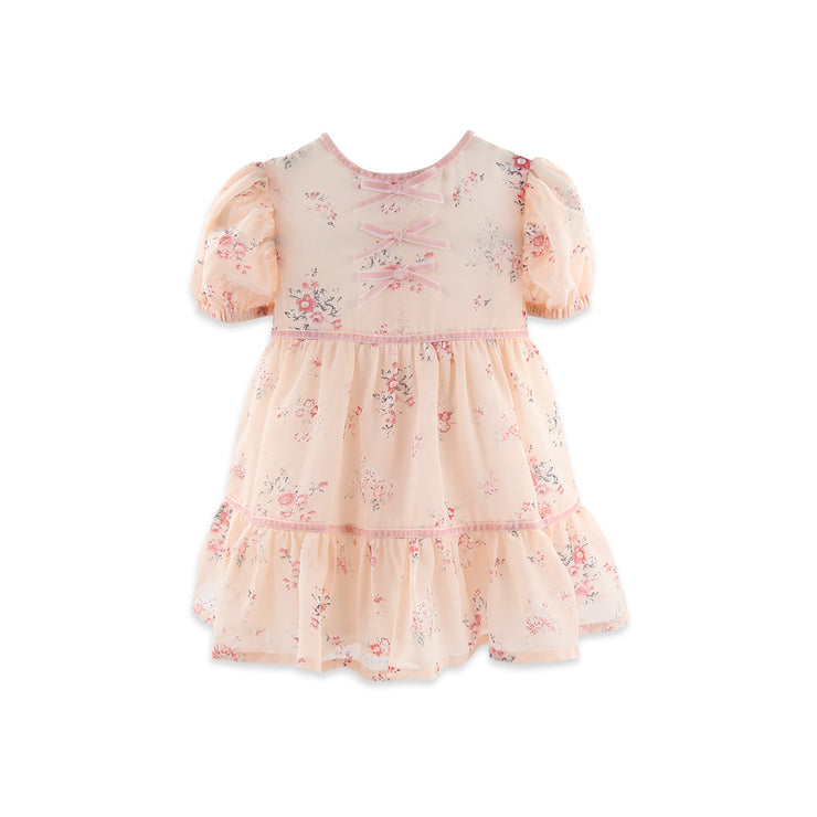 Sophia Chiffon Dress